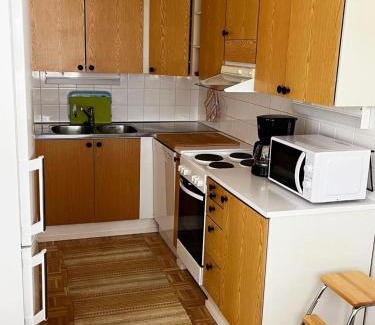 Sodankyla Apartment | Peaceful Apartment with Sauna and Nature Views