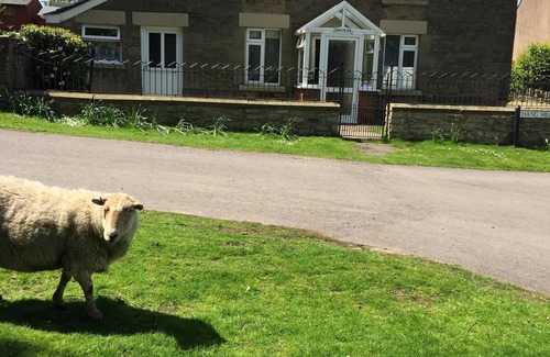 Lydney Cottage | 🌿 Peaceful & Cosy Cottage Stay in the Forest of Dean 🌳🐑