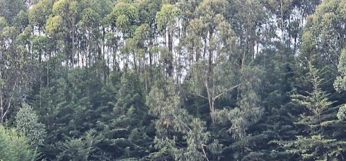 Nyandarua Ski Chalet | Peaceful Farm House facing the Aberdares