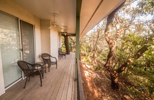 Medical Center District House | Peaceful Garden House on 5-Acre Nature Estate in The Heart of San Antonio