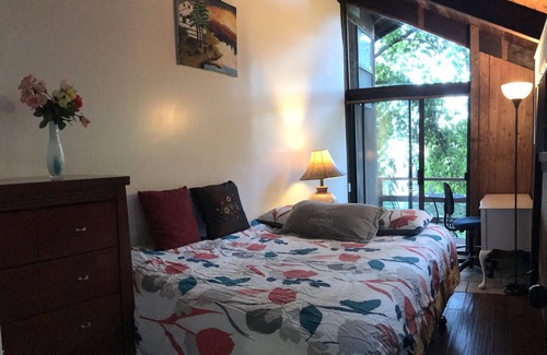 Los Gatos Apartment | Peaceful Guest Suite in 45acre Redwood Retreat WiFi