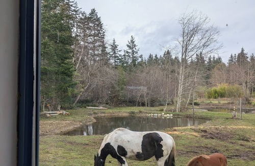 Denman Island House | Peaceful Island-style garden filled acreage