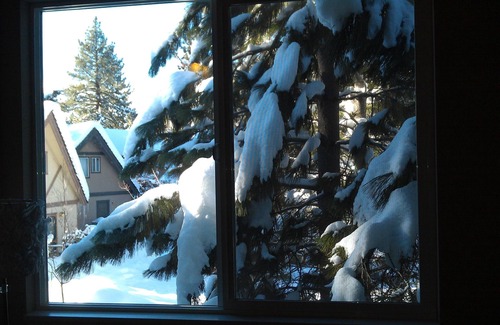 Highland Woods Ski Chalet | Peaceful little chalet tucked in to the Highland Woods