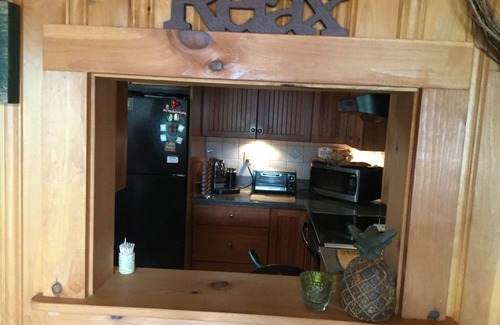 Day House | Peaceful relaxing getaway on the Great Sacandaga Lake.