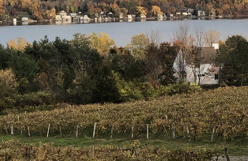 Town of Jerusalem Cabin | Peaceful Sanctuary with an Incredible Lake View