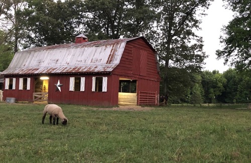 Hickory Plains House | Peaceful Sheep Farm in Austin - Pet Friendly!