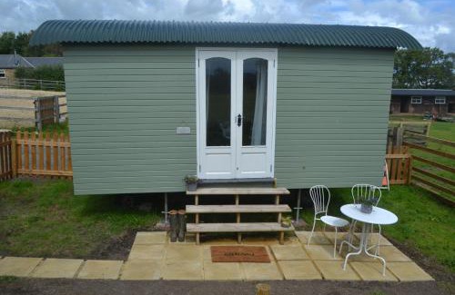 Woodhorn House | Peaceful Shepherd's Hut next to Horse Field