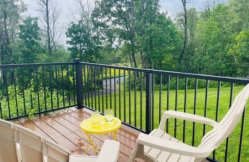 Town of Veteran House | Peaceful space in the country. Deck&private indoor sauna. Surrounded by nature!