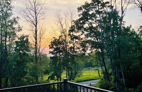 Town of Veteran House | Peaceful space in the country. Deck&private indoor sauna. Surrounded by nature!
