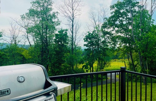 Town of Veteran House | Peaceful space in the country. Deck&private indoor sauna. Surrounded by nature!