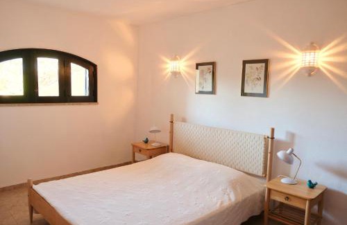 Vale de Covo Apartment | Peaceful & Spacious Apt with Parking & Queen Bed