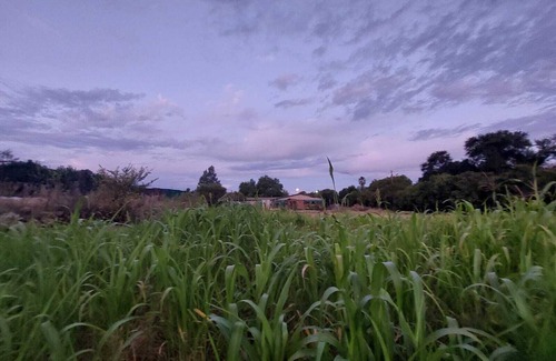 Bethulie Bed & Breakfast | Peaceful stop over midway on your yourney