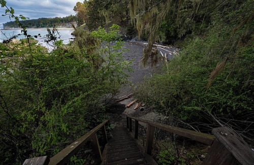 Lopez Island Cabin | Peaceful waterfront cabin on Lopez Island