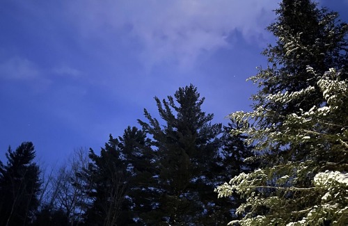 Woodgate House | Peaceful wooded cabin - 5 minutes from Adirondack state park