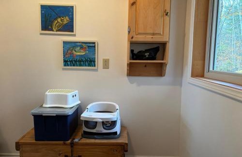 Rainy River District House | Peaceful Year Round Lakefront Getaway Nickel Lake