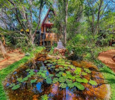 Habarana Hotel | Pearl in the Jungle with Private Pool