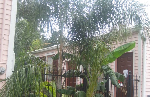 Carrollton Cottage | PEARL ST. GUEST COTTAGE OFF ST. CHARLES,30 NT. MIN.