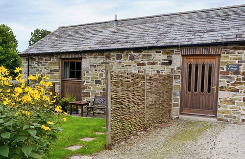 Bodmin Cottage | Penno Cottage - 24440