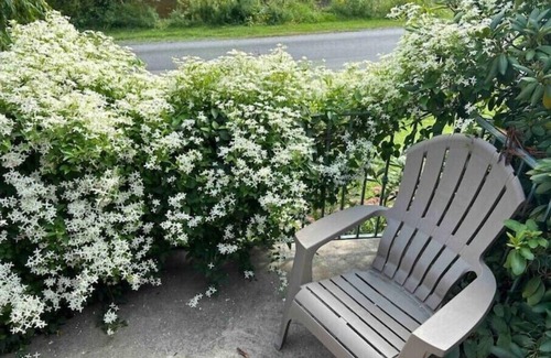 Coburn House | Penns Creek Bungalown