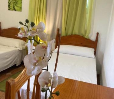 Las Hayas House | Pensión Amparo Las Hayas