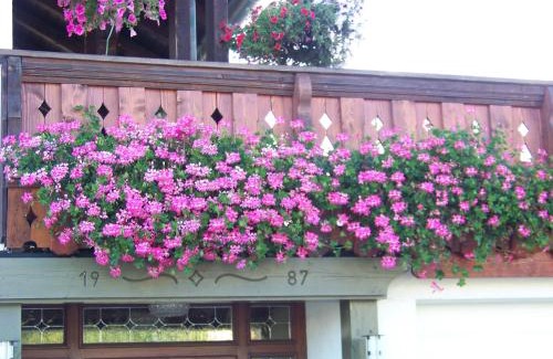 Zwiesel House | Pension Erna