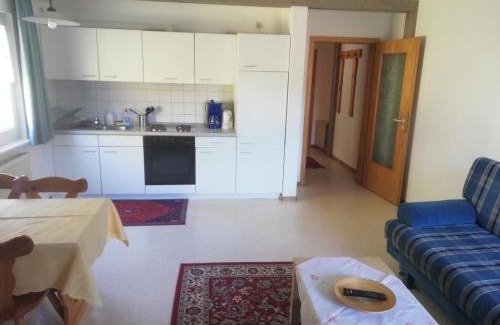Schoenau im Schwarzwald Apartment | Pension Goldmann - Ferienwohnung 2