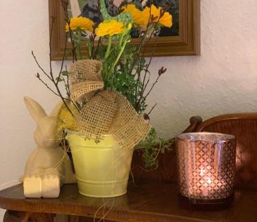 Oberschonau House | Pension Gregory