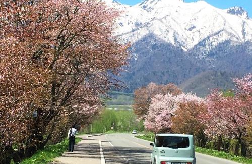 Furano House | Pension Hoshi Ni Negaiwo