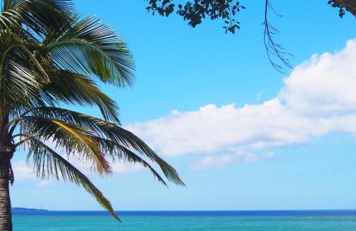 Maeganeku Hotel | Pension Moon Villa