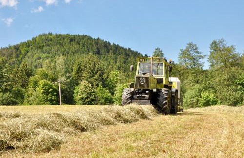 Ehlenbogen House | Pension Vogtsmichelhof - Haupthaus