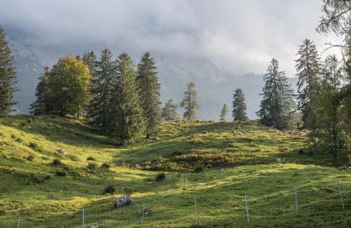 Ehlenbogen House | Pension Vogtsmichelhof - Haupthaus