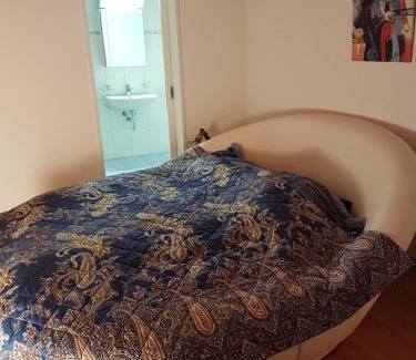 Meierhof Apartment | Penthouse Apartment in Davos