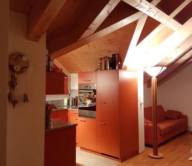 Meierhof Apartment | Penthouse Apartment in Davos