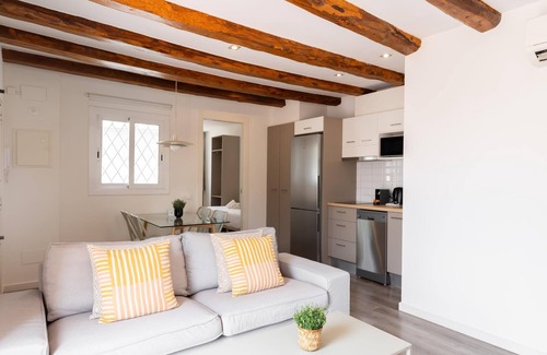 Hostafrancs Apartment | Penthouse Apartment with terrace