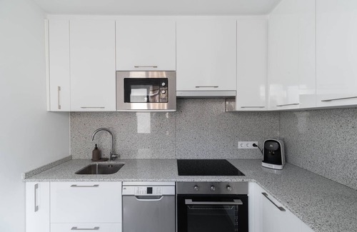 Vigo Apartment | Penthouse Center