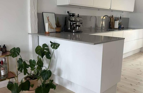 Copenhagen K Apartment | Penthouse doublex w water view