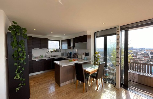 Shaftesbury Apartment | Penthouse near Clapham Junction large wrap around terrace incredible views