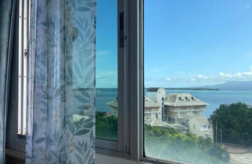 Pointe-a-Pitre Apartment | PENTHOUSE SEASIDE 10 MIN port, croisière et aéroport