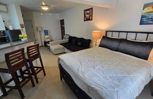 Montellano Apartment | Penthouse suite in Cabarete on the beachn Full kitchen with backyard and BBQ