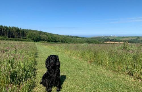 Bude Resort | Pentire Coastal Holiday Park