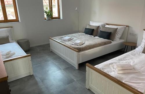 Mikulcice Apartment | Penzion U Blechy a Švába