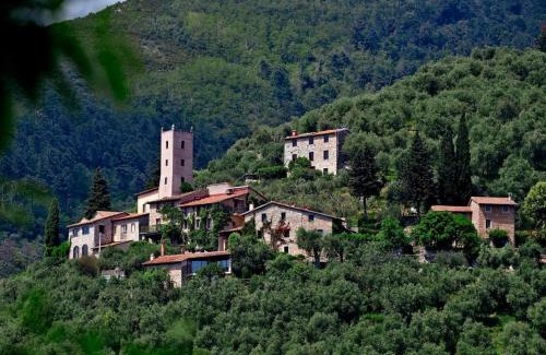 Camaiore House | Peralta Tuscany
