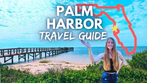 Palm Harbor Apartment | Perfect Condo Sleeps 8 Guests Florida