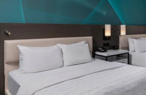 Houston Convention District Hotel | Perfect for Groups! 2 Pet-friendly Units, Rooftop Terrace, Bike Rental