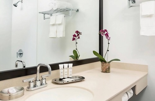 Lower Allston Hotel | Perfect Location! Pets Allowed, Parking, Near Boston College