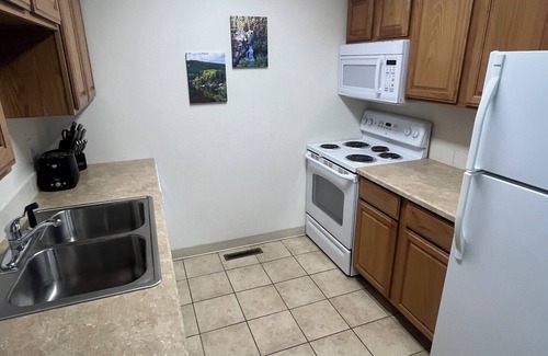 Estes Park Condo | Perfectly Situated One Bedroom Condo in Beautiful Estes Park. Great Price!