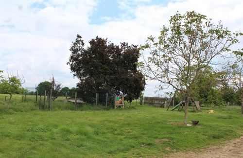 Naussannes Cottage | Périgord cottage with shared pool, fireplace and pets allowed near Bergerac