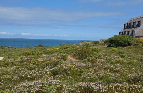 Still Bay Apartment | Pervinca al Mare