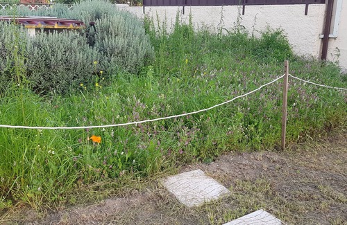 Lavos Apartment | Pet- and biker-friendly vacation apartment with terrace in a quiet location