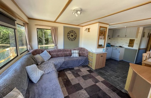 Carmarthen Cabin | Pet/Dog Friendly Rural Lodge, with Fenced Garden Area, Nr Beaches, Woodlands